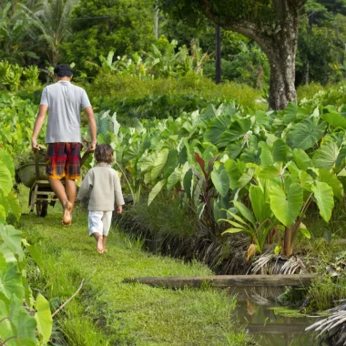 El papel de las prácticas tradicionales tahitianas en la vida sostenible