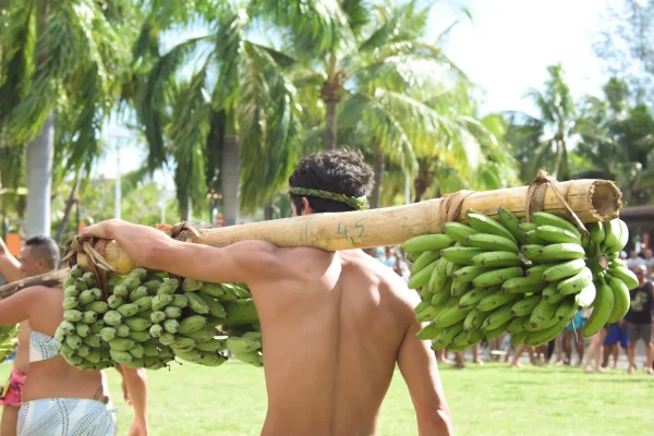 Porteur de fruits de dos avec des régimes de bananes © Teriitua Maoni