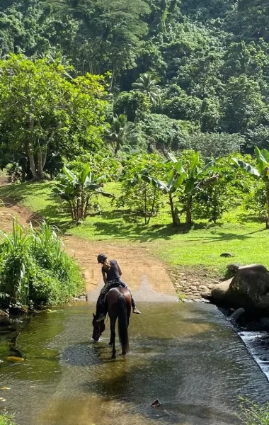 Randonnée à Raiatea en cheval © Cadichon Vallée