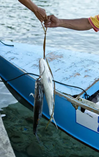 Retour de la pêche en haute mer ©Tahiti Tourisme