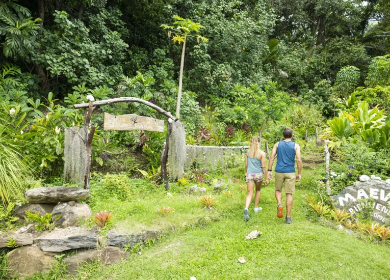 Naturaleza salvaje y virgen