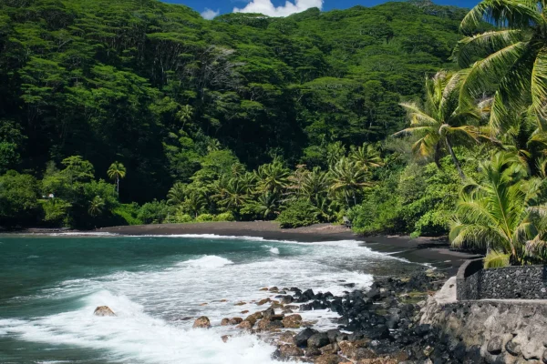 Recorrido de la isla de Tahiti – Focos para ver