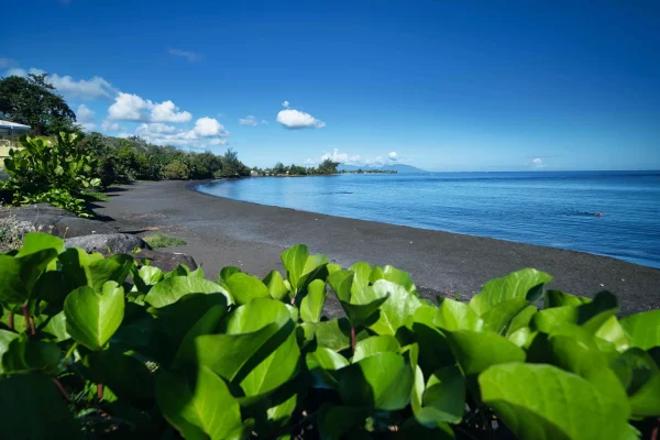 Recorrido de la isla de Tahiti – Focos para ver