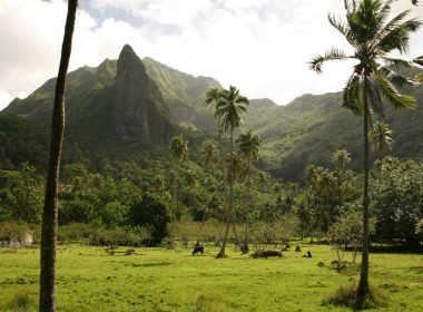 Tres días a Raiatea