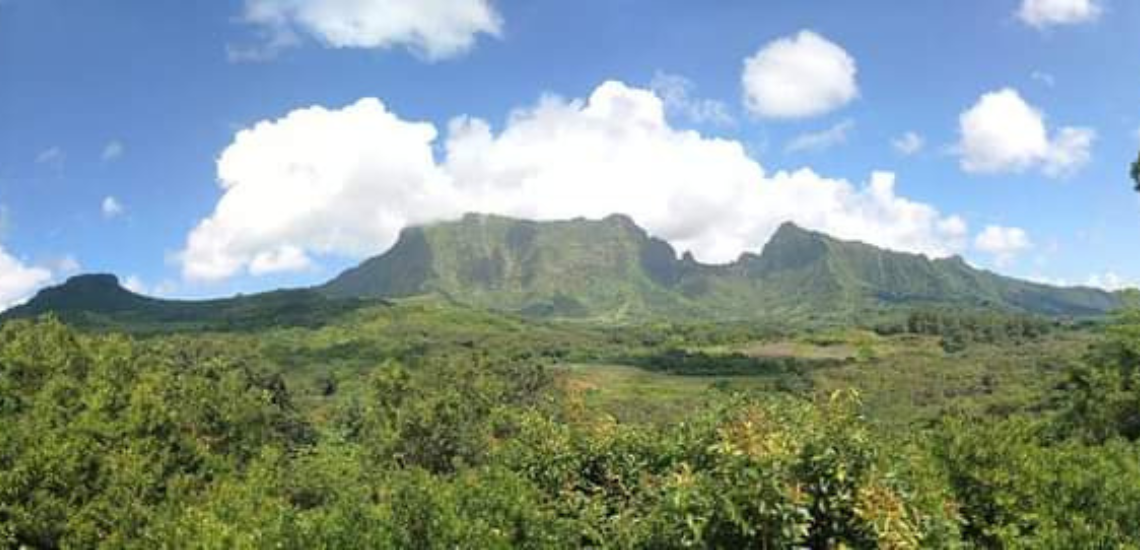 https://tahititourisme.es/wp-content/uploads/2023/02/SmileWithWilly_photocouverture_1140x550px.png
